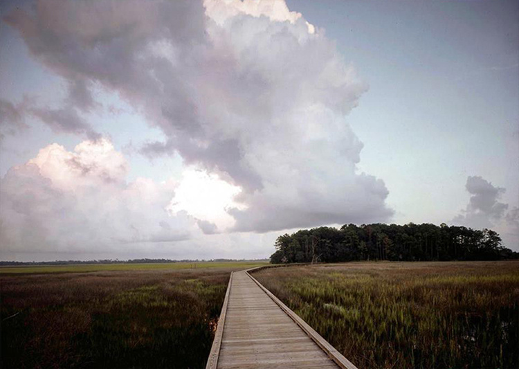 В гостях у Бена Аффлека: экскурсия по колоритному поместью актера в Джорджии В гостях у Бена Аффлека: экскурсия по колоритному поместью актера в Джорджии Стиль жизни