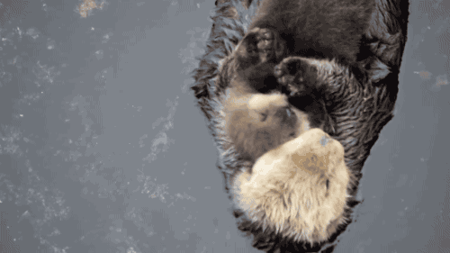 Подборка жизненных гифок на выходные 