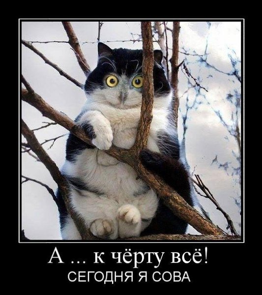 Вежливость стала такой редкостью, что ее часто путают с флиртом Вежливость стала такой редкостью, что ее часто путают с флиртом анекдоты,веселье,демотиваторы,приколы,смех,юмор