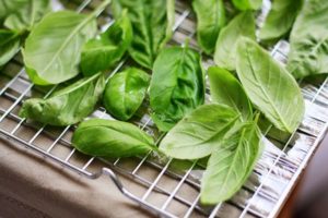 Какой базилик подходит для заготовки на зиму