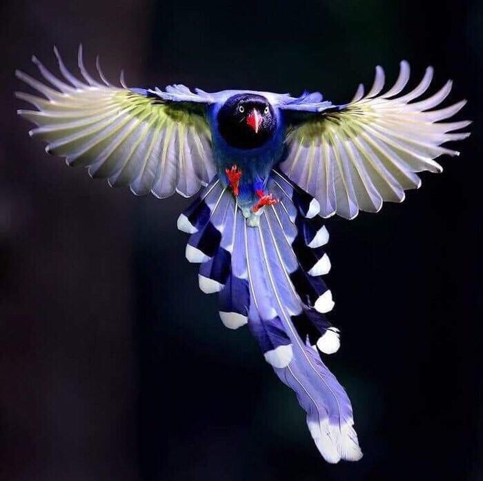 Восхитительные фотографии из нашей жизни Восхитительные фотографии из нашей жизни