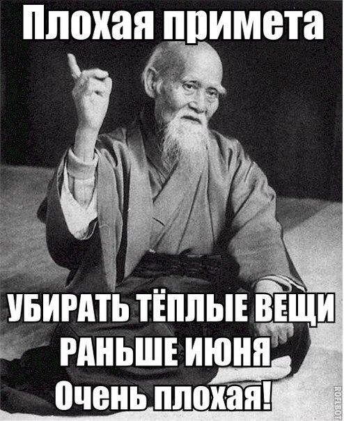 Солянка из веселых картинок и смешных фотографий с надписями 