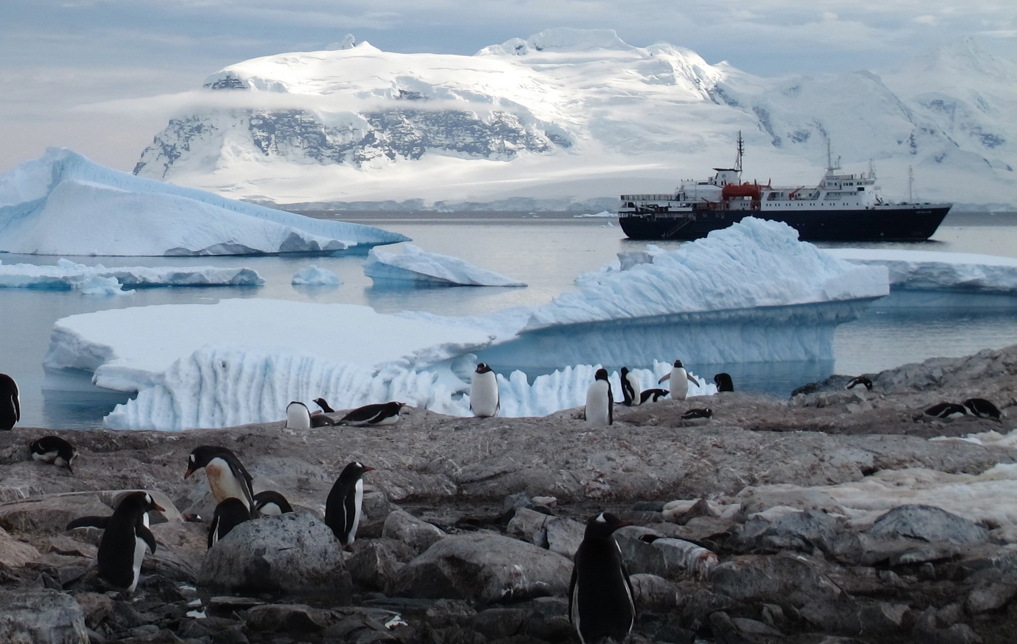 В середине 20 века антарктида для многих. Арктика Антарктика Антарктида. Оазис Ширмахера в Антарктиде. Аэродром Новолазаревская Антарктида. Ушуайя Антарктида.