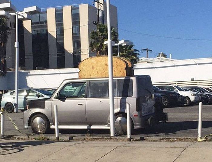 Подборка картинок. Вечерний выпуск (52 фото)