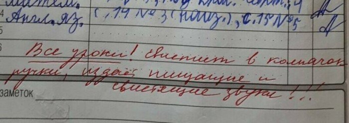 15 убойных замечаний в дневниках, после которых родителей вызывают в школу 15 убойных замечаний в дневниках, после которых родителей вызывают в школу