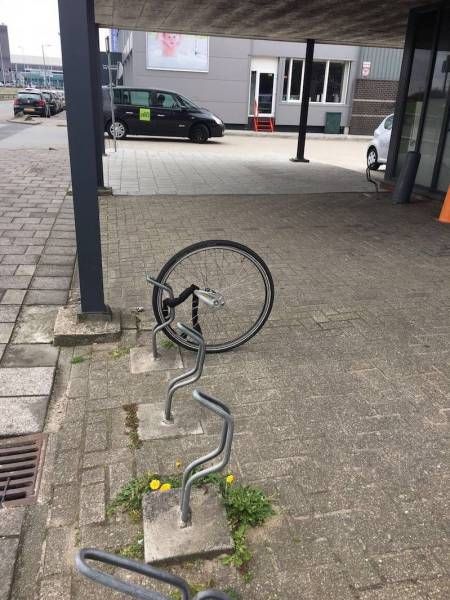 Подборка картинок. Дневной выпуск (52 фото)