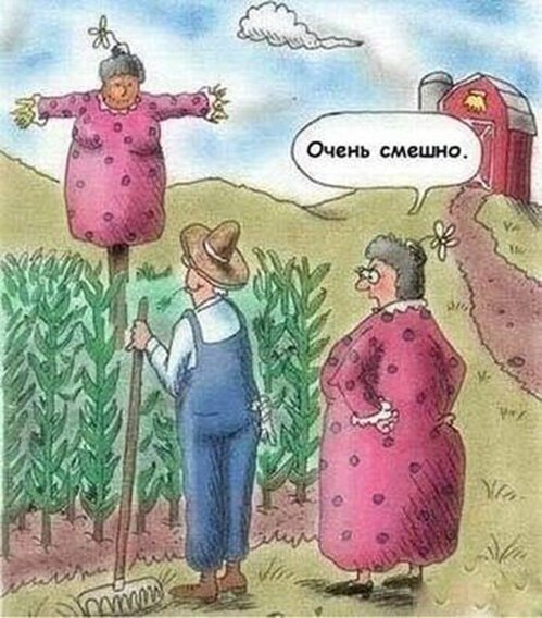 Дачный юмор 