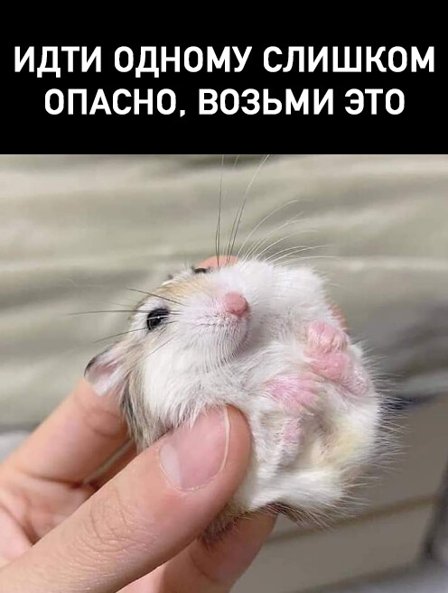 Подборка юмора для суперского настроения Подборка юмора для суперского настроения