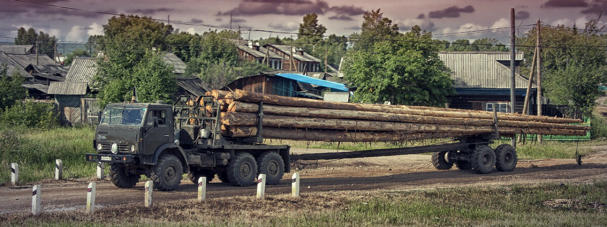 Невероятно, но факт: в России возник дефицит леса и товарной древесины!.. Дожили, называется...