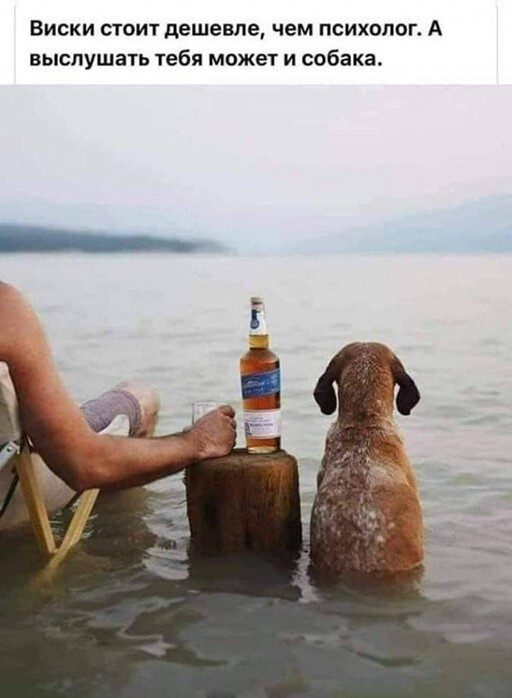 Алкогольный юмор! Алкогольный юмор! позитив,смешные картинки,юмор