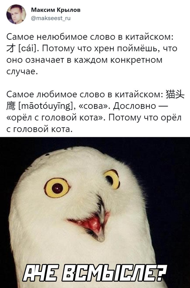 Подборка прикольных картинок Подборка прикольных картинок приколы,смешные картинки,юмор