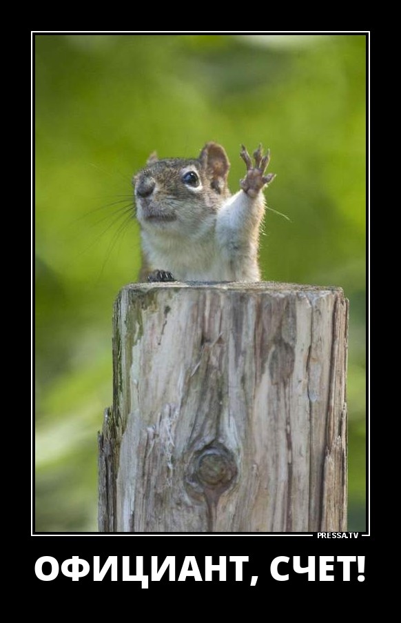 Забавные веселые демотиваторы обо всем на свете Забавные веселые демотиваторы обо всем на свете