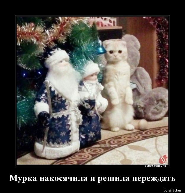 Смешные демотиваторы: «Минздрав в недоумении» 