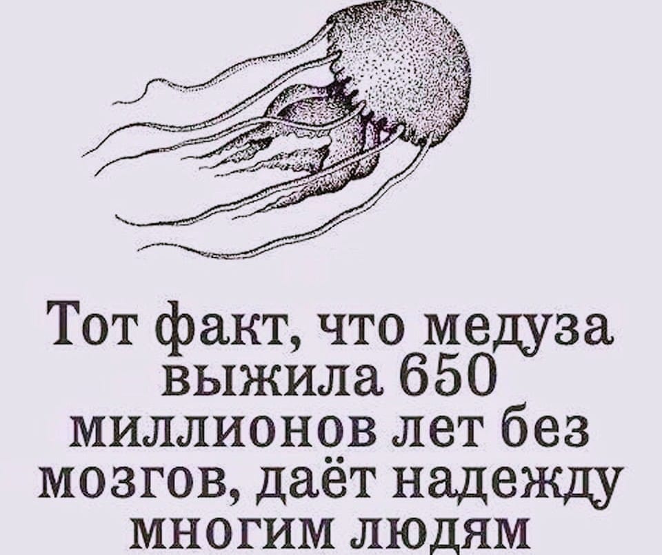 Очень застенчивый молодой человек никак не решается заговорить с девушкой... весёлые