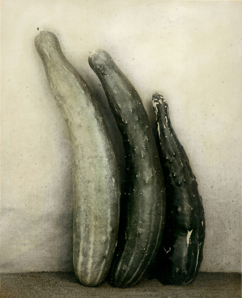 Как изящен кабачок! Удивительные натюрморты Ингара Краусса Как изящен кабачок! Удивительные натюрморты Ингара Краусса