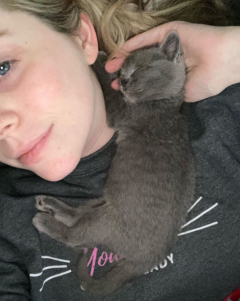 Найденный котенок не отпускает свою спасительницу Найденный котенок не отпускает свою спасительницу не всё так грустно