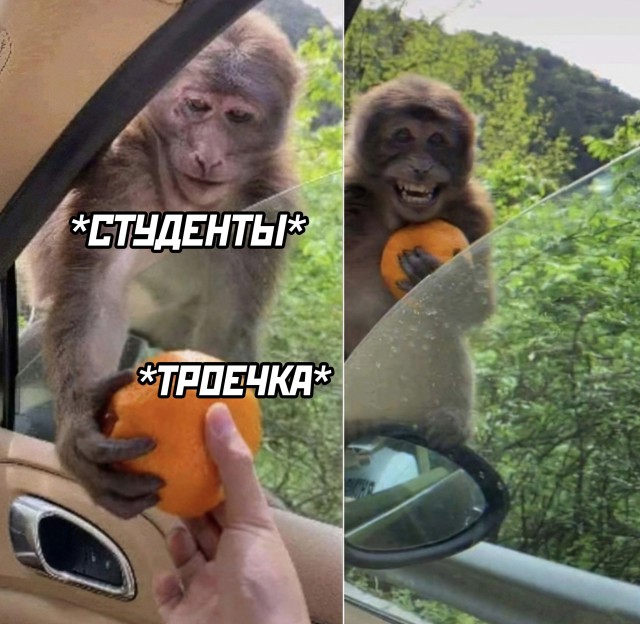 Подборка прикольных картинок 