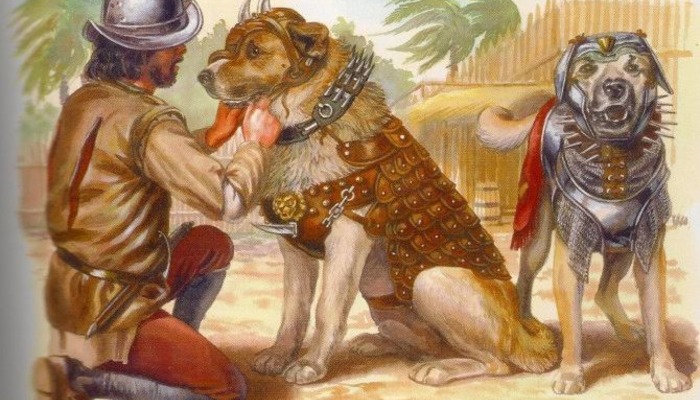 Боевые собаки - оружие конкистадоров