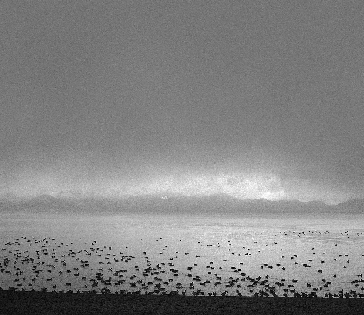 Мир, пребывающий в гармонии, на фотографиях Пентти Саммаллахти 1 2