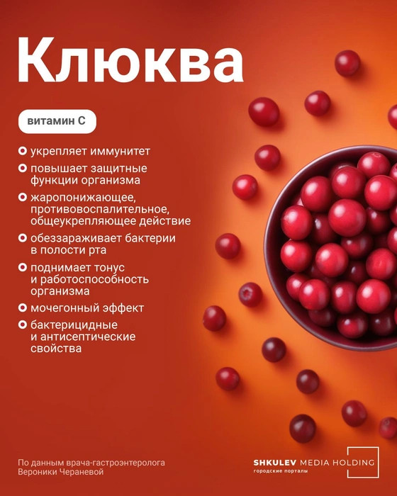 6 самых полезных ягод этой осени — с ними вам никакие витамины не понадобятся еда,здоровье и питание,полезные продукты,ягоды