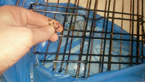 Зачем я намыливаю полиэтиленовый пакет и почему теперь легко отмываю решетку для гриля сделай сам,советы