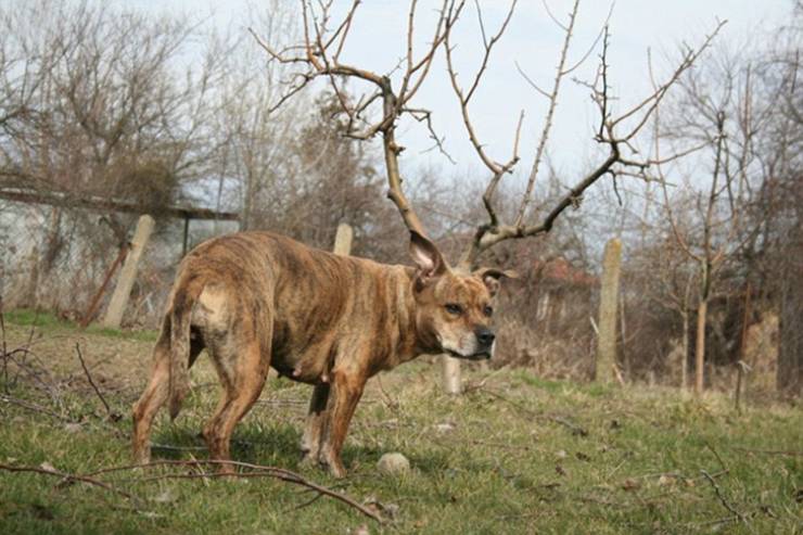 15 фотографий, в которых вам предстоит еще разобраться 