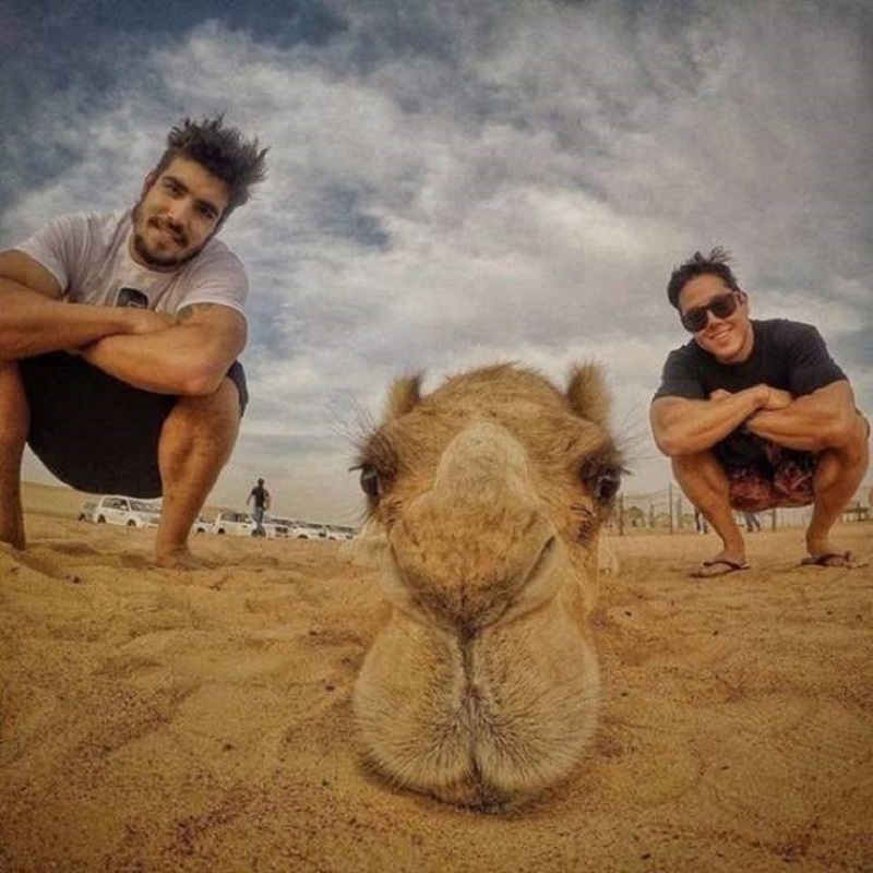 Когда фотографу повезло