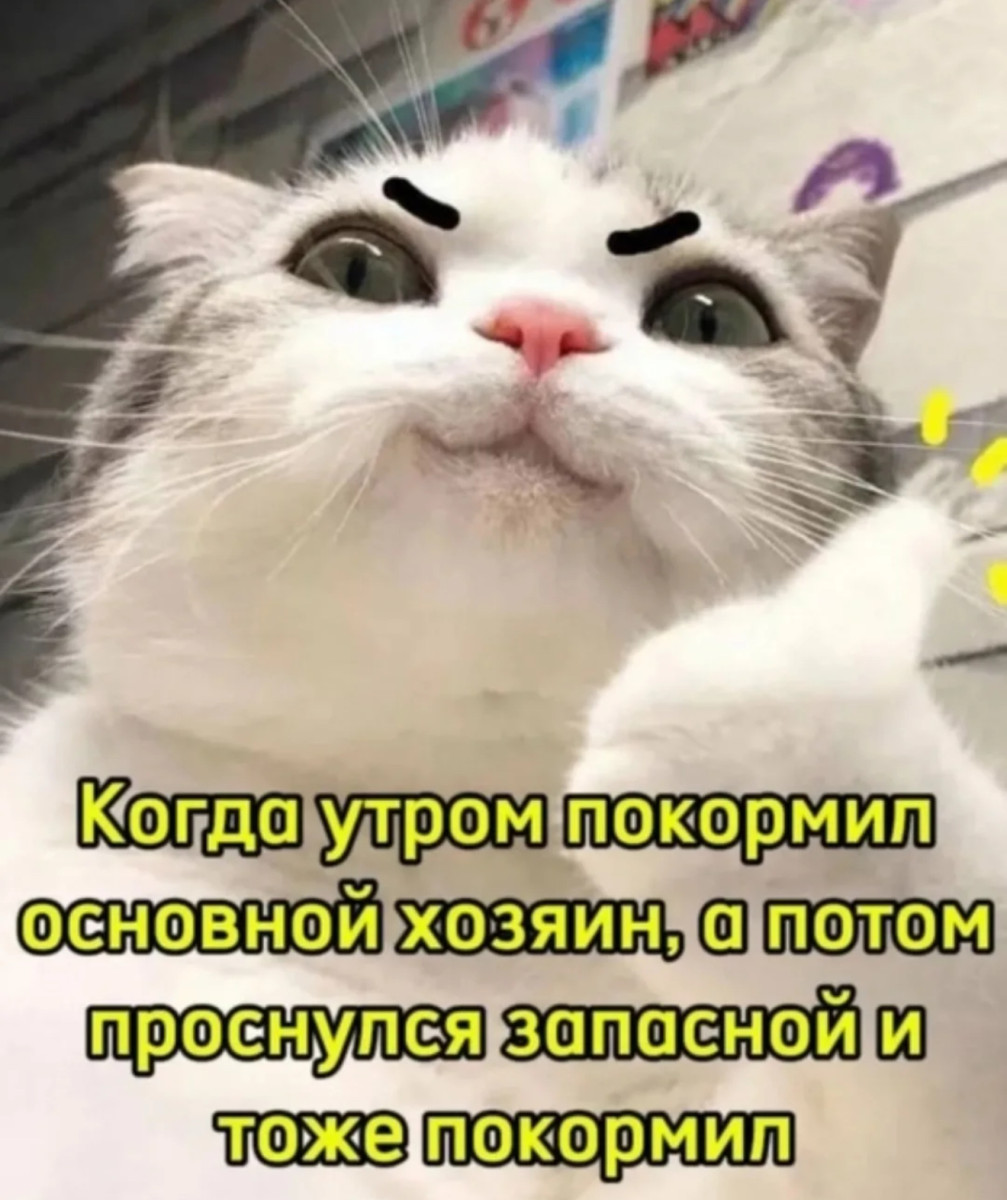 Смешные картинки и мемы про работу за день до выходных Смешные картинки и мемы про работу за день до выходных