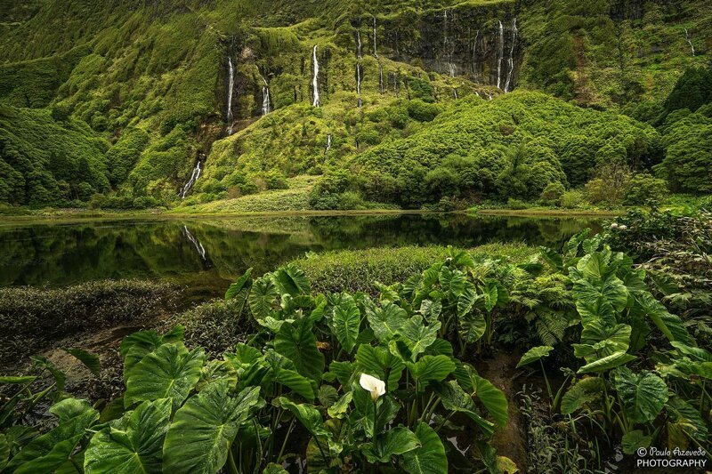Наш удивительный мир!