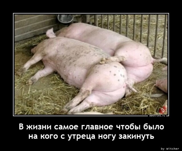 Демотиваторы для позитива 