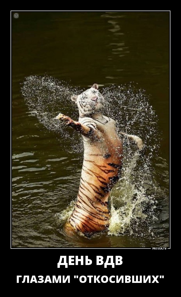 Забавные, ржачные и веселые демотиваторы из нашей жизни со смыслом Забавные, ржачные и веселые демотиваторы из нашей жизни со смыслом демотиваторы свежие,смешные демотиваторы,юмор