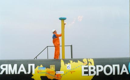 За белорусского нациста Протасевича ответит Газпром? За белорусского нациста Протасевича ответит Газпром? геополитика