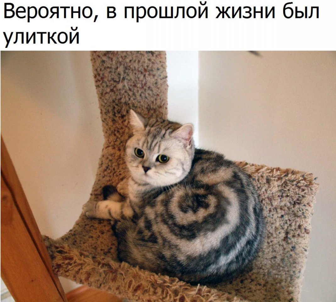 Красивые и яркие фотографии из нашей жизни Красивые и яркие фотографии из нашей жизни