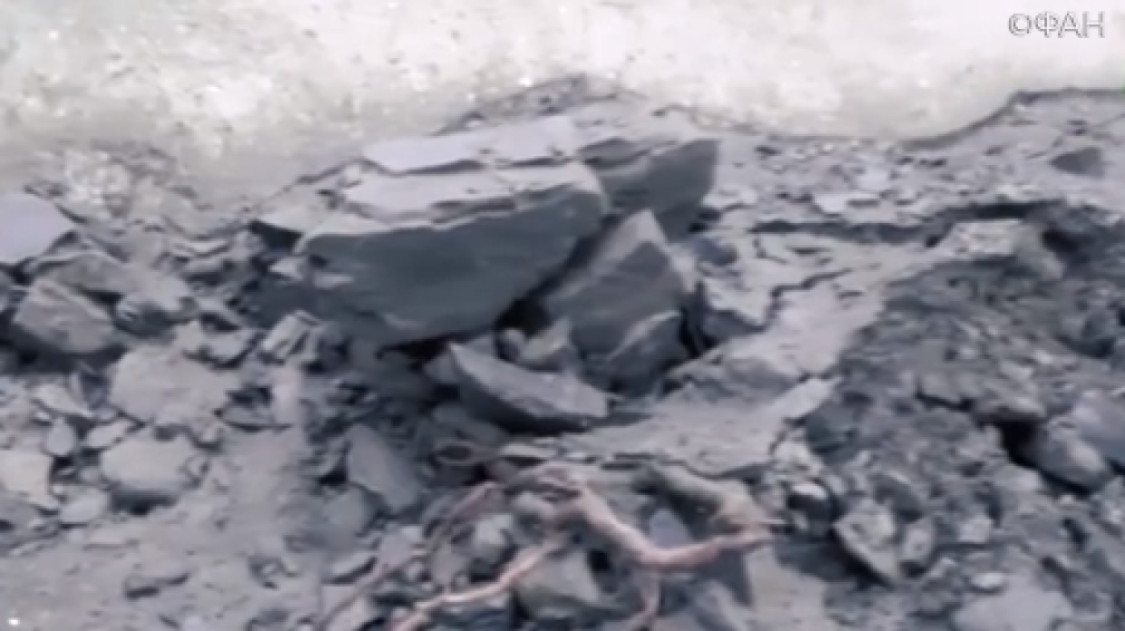 Хозяева заваленного строительным грунтом пляжа в Крыму оказались на Украине