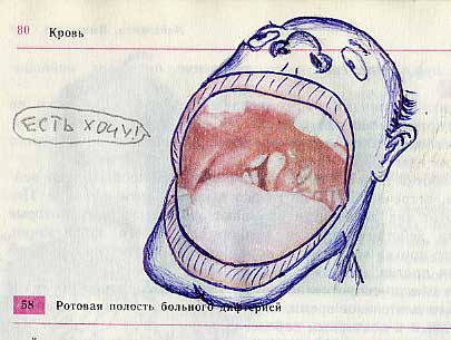 Забавно разрисованный учебник биологии перенесет вас назад в 9-й класс 