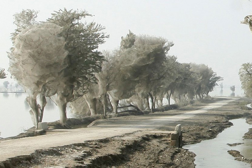 10 удивительных загадок природы