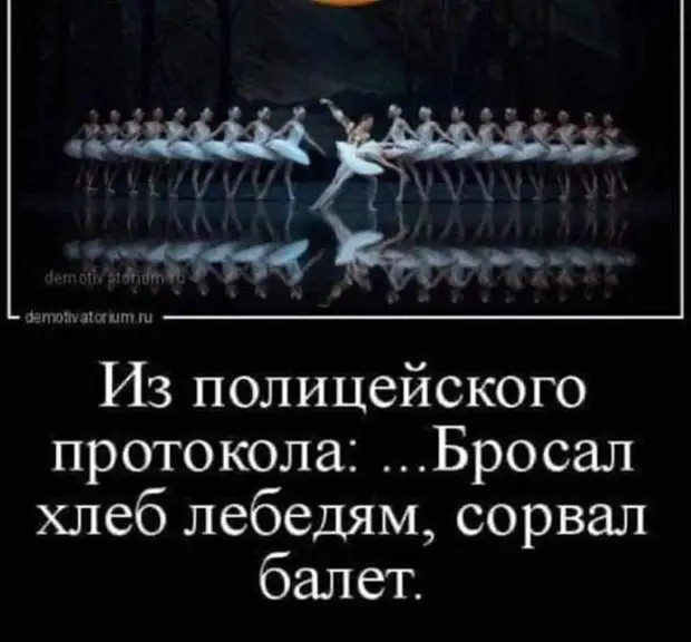 - Кто у вас в семье главный: вы или муж? - Конечно муж! Он главный исполнитель всех моих распоряжений