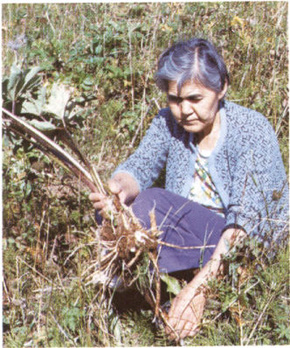 Индейцы Аляски, родившиеся в 1900 году ещё свободно говорили по русски Индейцы Аляски, родившиеся в 1900 году ещё свободно говорили по русски Дальние дали