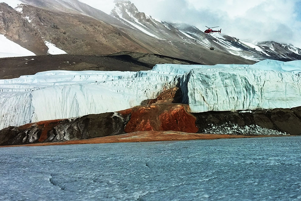 10 удивительных загадок природы