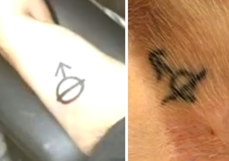 Парень сделал такую же татуировку, как и у подобранной им собаки