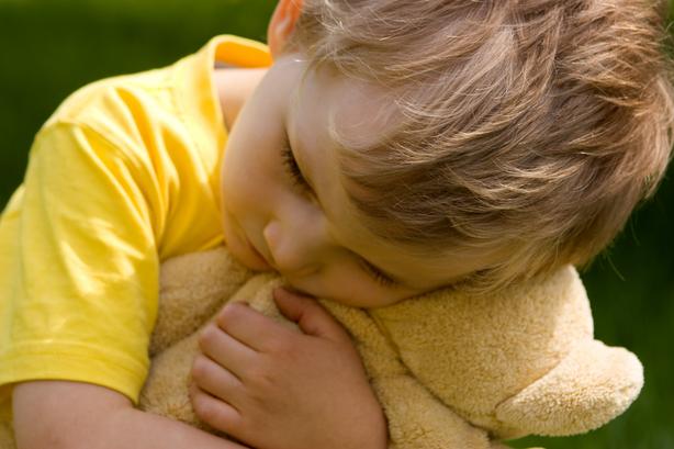 TeddyBearKid