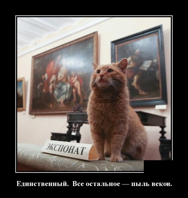 Зачетные и прикольные демотиваторы для пятничного настроения и веселых улыбок Зачетные и прикольные демотиваторы для пятничного настроения и веселых улыбок демотиваторы свежие,приколы,смешные демотиваторы,юмор