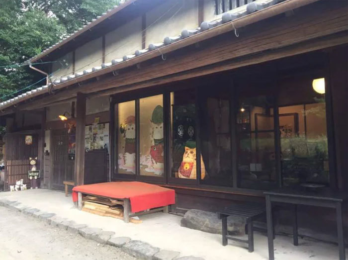 Храм Мяу-Мяу: в Японии есть уникальное святилище, в котором живут кошки