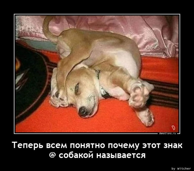 Демотиваторы в маленькую пятницу: «Теперь всем понятно…» 