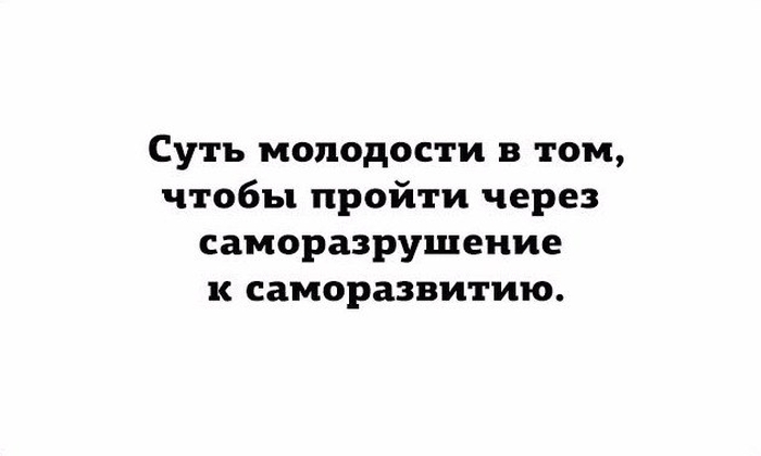 Подборка картинок. Вечерний выпуск (58 фото)