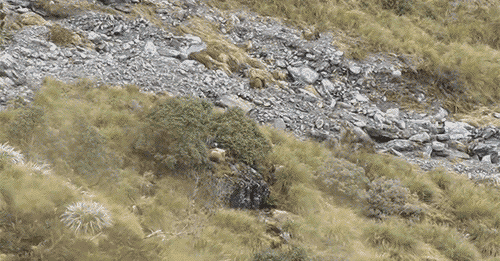 Веселые гифки для улыбки и позитива 