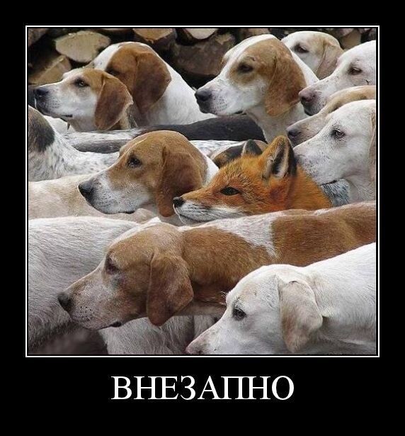 Демотиваторы для позитива 