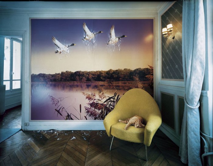 Забавно (40фоток)