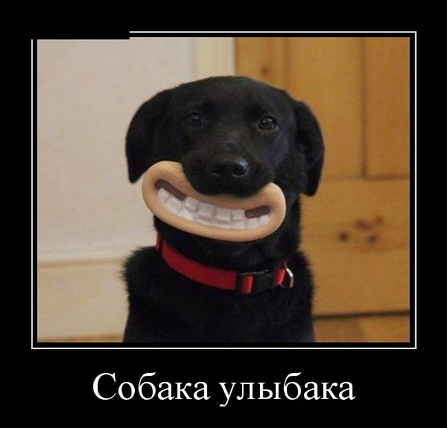 Прикольные демотиваторы для всех: «Пятница» 