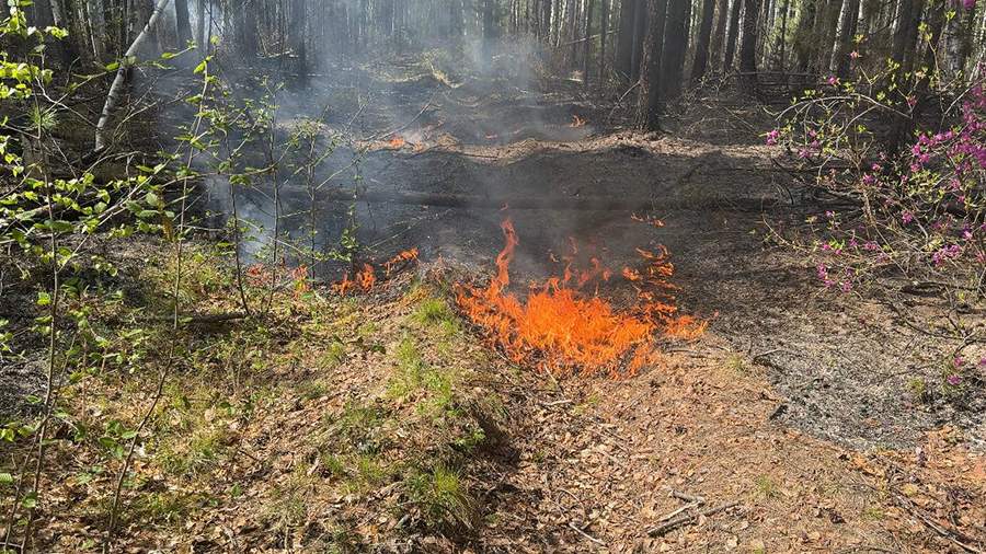 В Бурятии ввели полный запрет на посещение лесов из-за угрозы пожаров